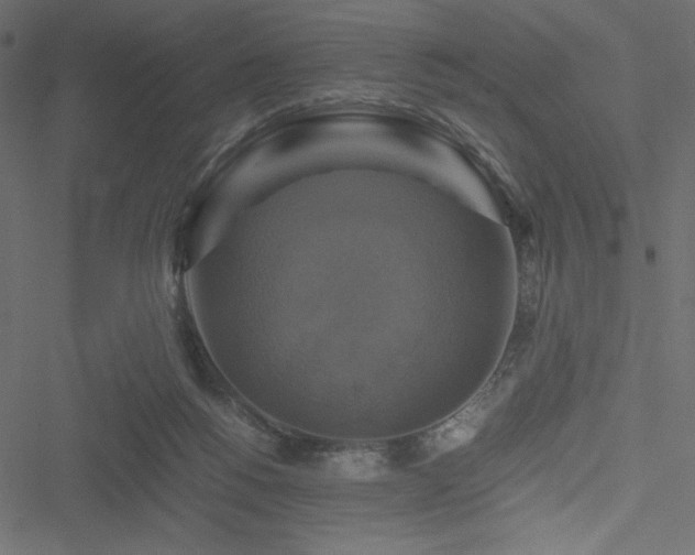 X0000051240168200506171119