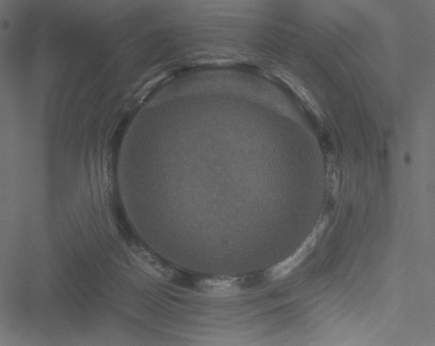 X0000051240170200506171119