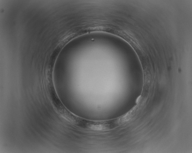 X0000051240171200506171119