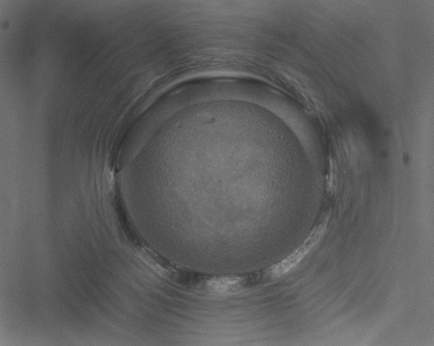 X0000051240172200506171119