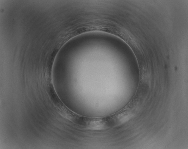 X0000051240173200506171119