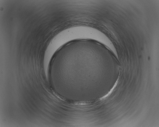 X0000051240174200506171119