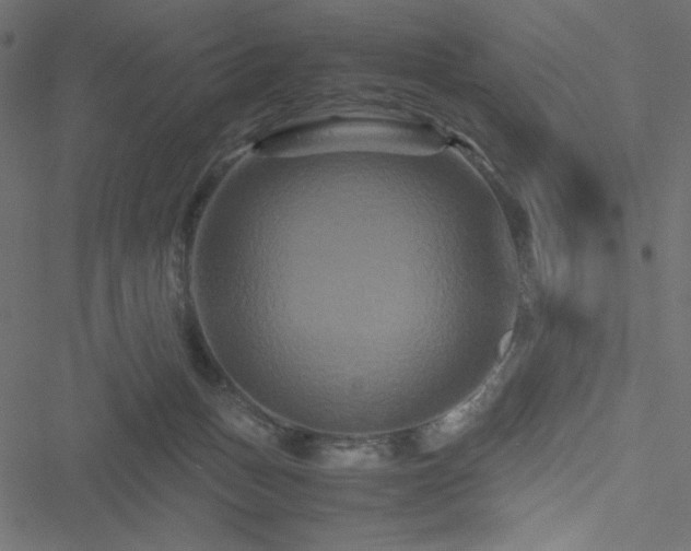 X0000051240175200506171119