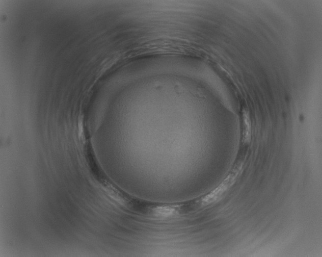 X0000051240176200506171119