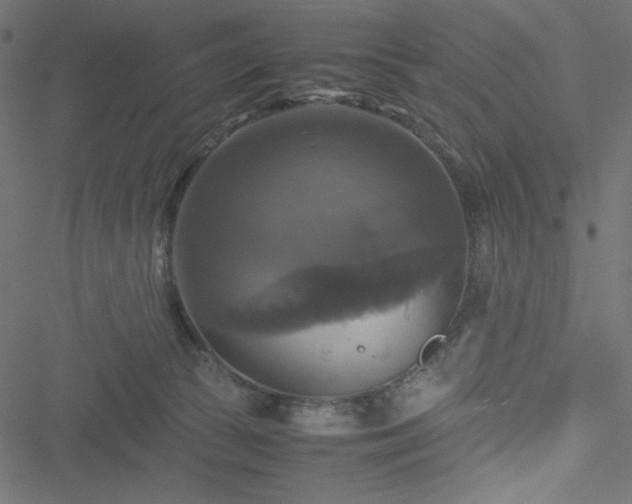 X0000051240177200506171119