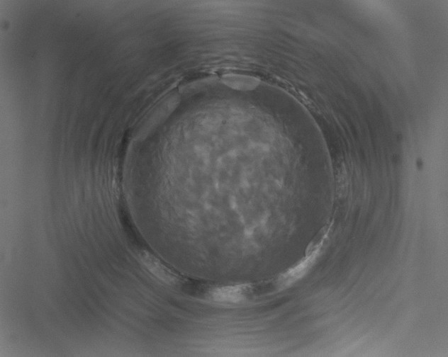 X0000051240178200506171119