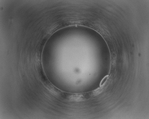 X0000051240179200506171119