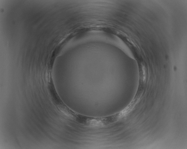 X0000051240180200506171119