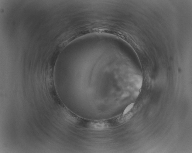 X0000051240181200506171119