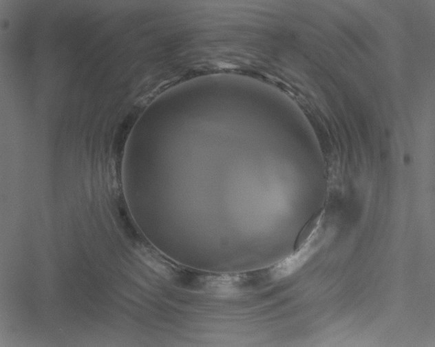 X0000051240182200506171119