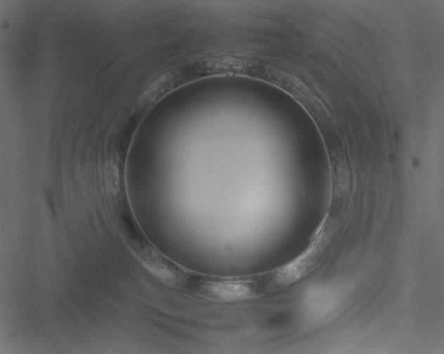 X0000051240183200506171119