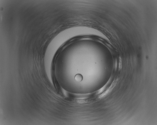 X0000051240184200506171119