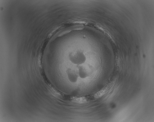 X0000051240185200506171119