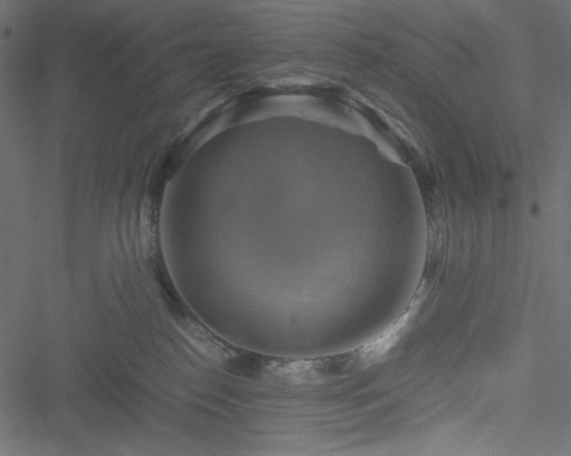 X0000051240186200506171119