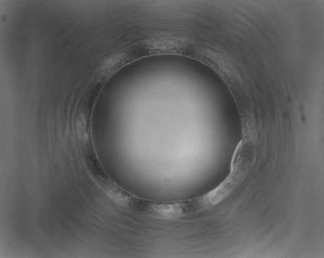 X0000051240187200506171119