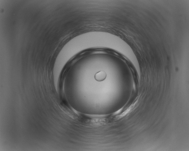 X0000051240188200506171119