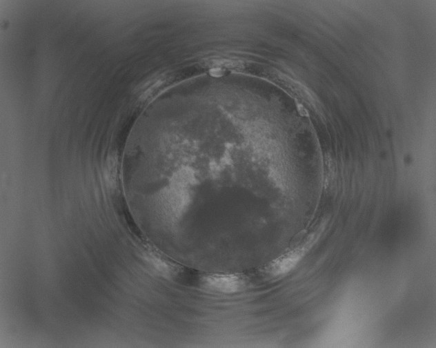 X0000051240189200506171120