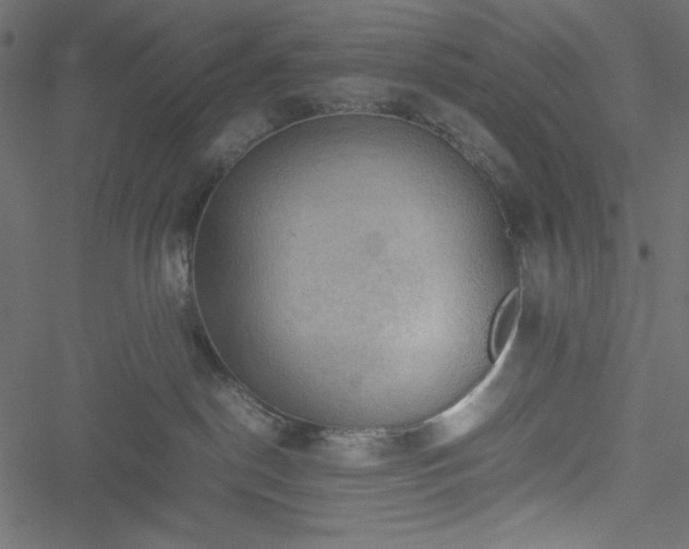 X0000051240190200506171120