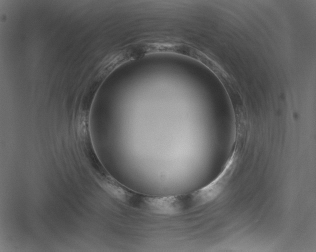 X0000051240191200506171120