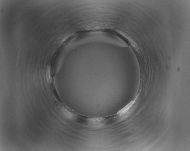 X0000051240192200506171120