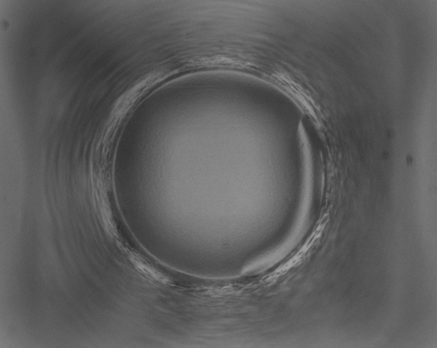 X0000051240193200506171119