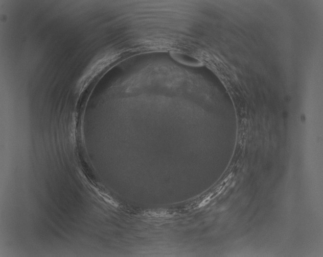 X0000051240194200506171119