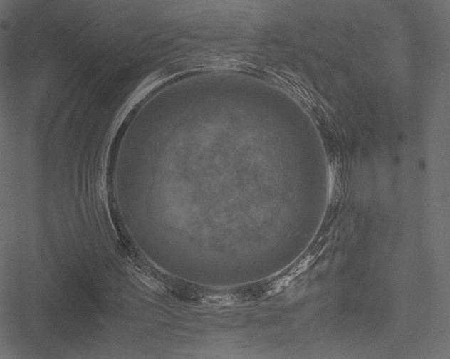 X0000051240195200506171119