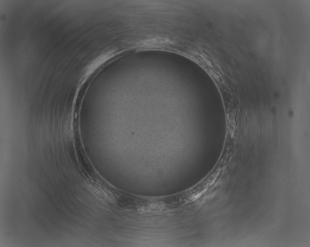 X0000051240196200506171119