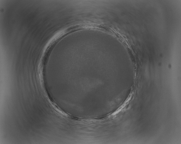 X0000051240197200506171119