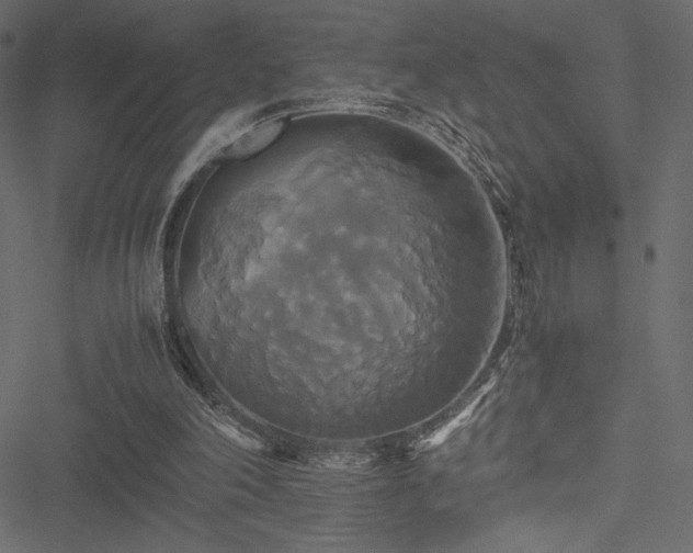 X0000051240198200506171119