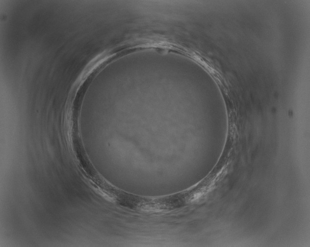 X0000051240199200506171119