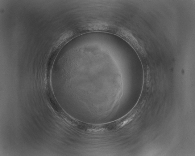 X0000051240202200506171119