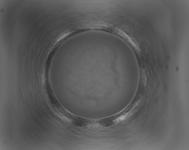 X0000051240203200506171119