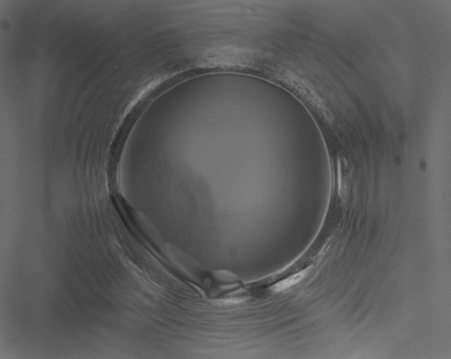 X0000051240204200506171119