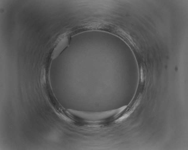 X0000051240205200506171119