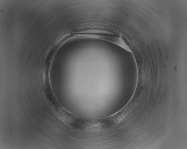 X0000051240206200506171119