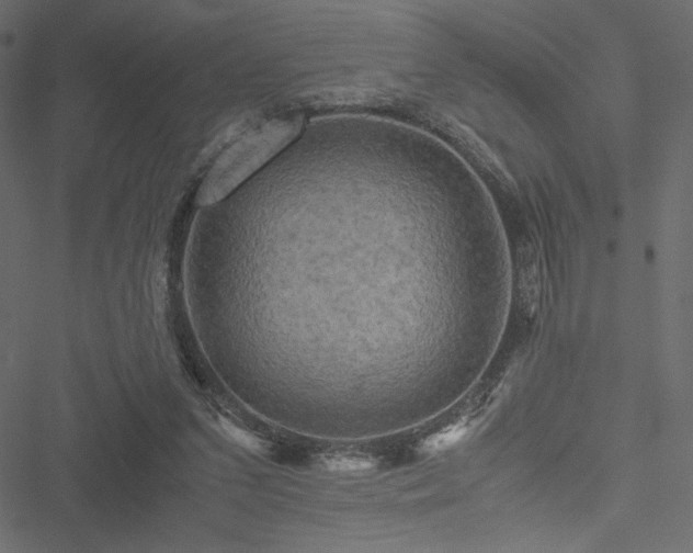 X0000051240207200506171119