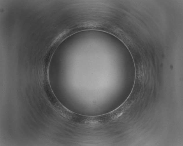 X0000051240208200506171119