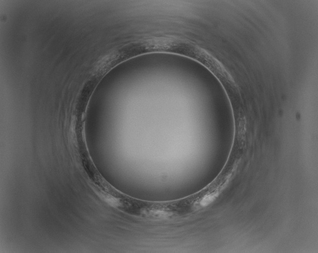 X0000051240209200506171118