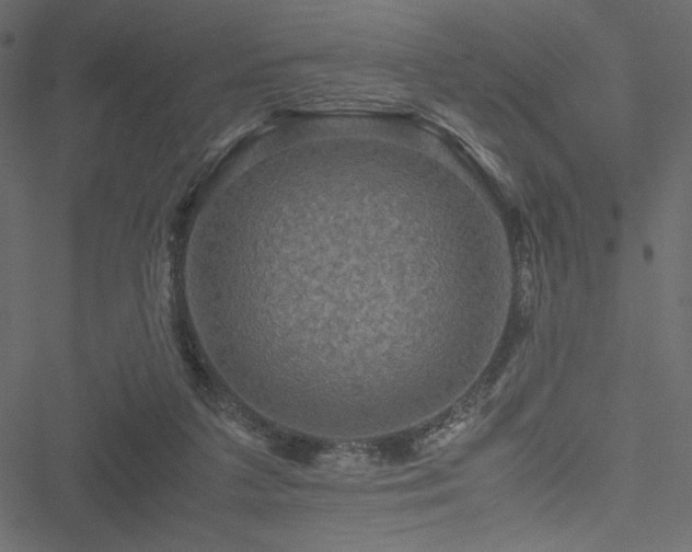 X0000051240211200506171118