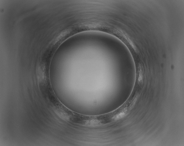 X0000051240212200506171118