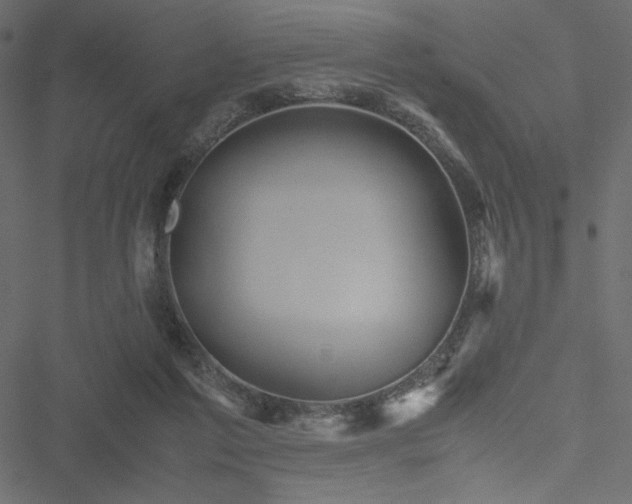 X0000051240213200506171118