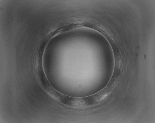 X0000051240215200506171118