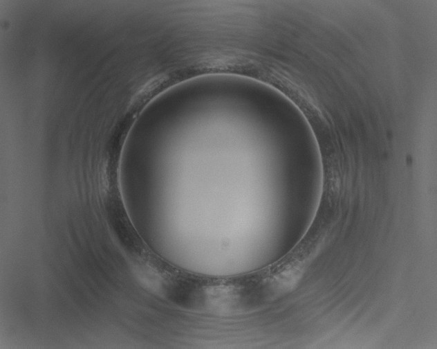 X0000051240216200506171118