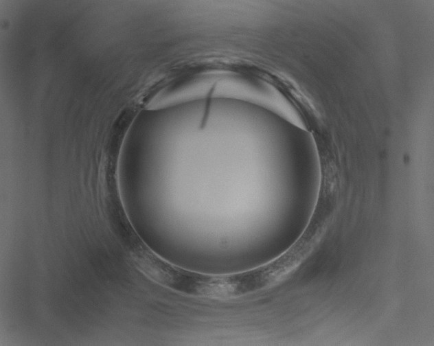 X0000051240217200506171118