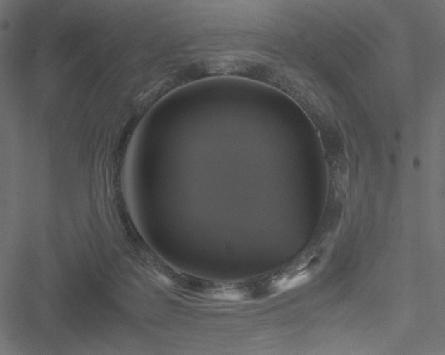 X0000051240219200506171118