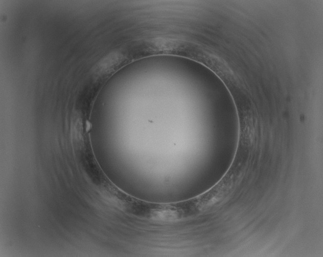 X0000051240220200506171118