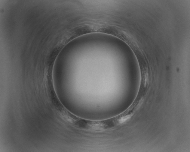 X0000051240221200506171118