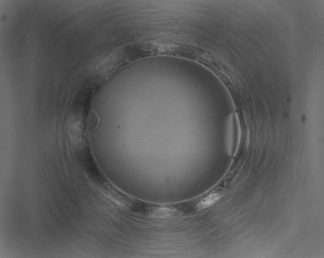 X0000051240222200506171118