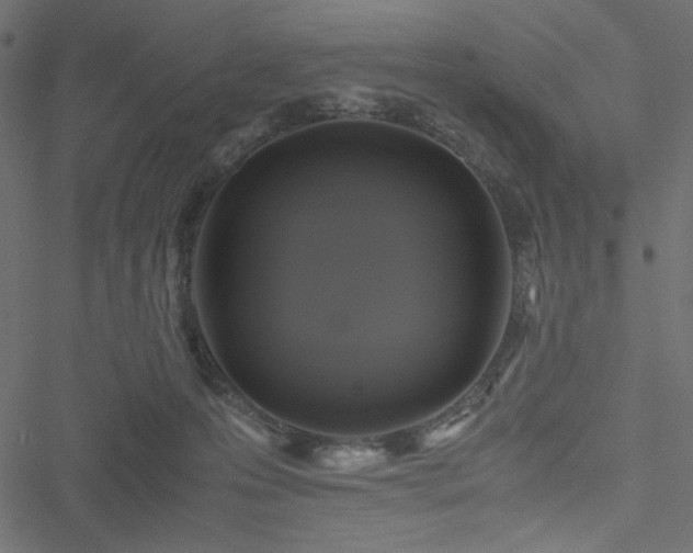 X0000051240223200506171118